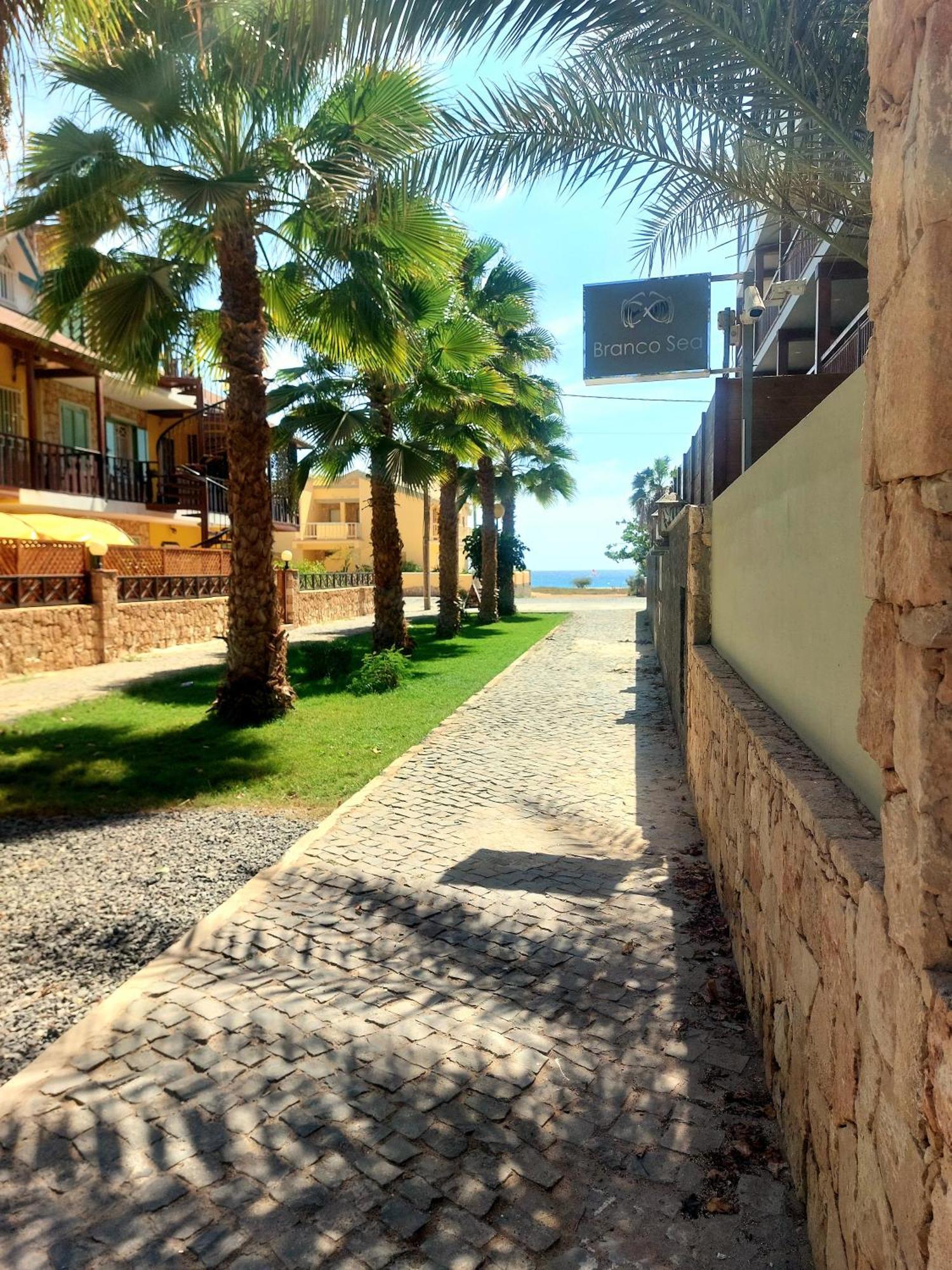Branco Sea Holiday Apartments サンタ・マリア エクステリア 写真